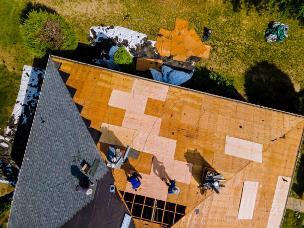 Best Metal Roofing Contractor  in Nesquehoning, PA