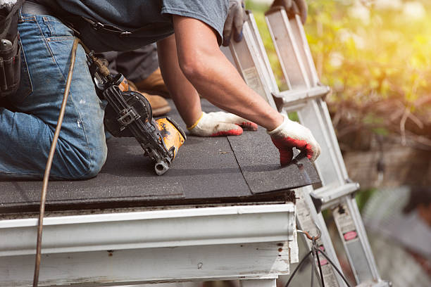 Best Local Roofing Companies  in Nesquehoning, PA